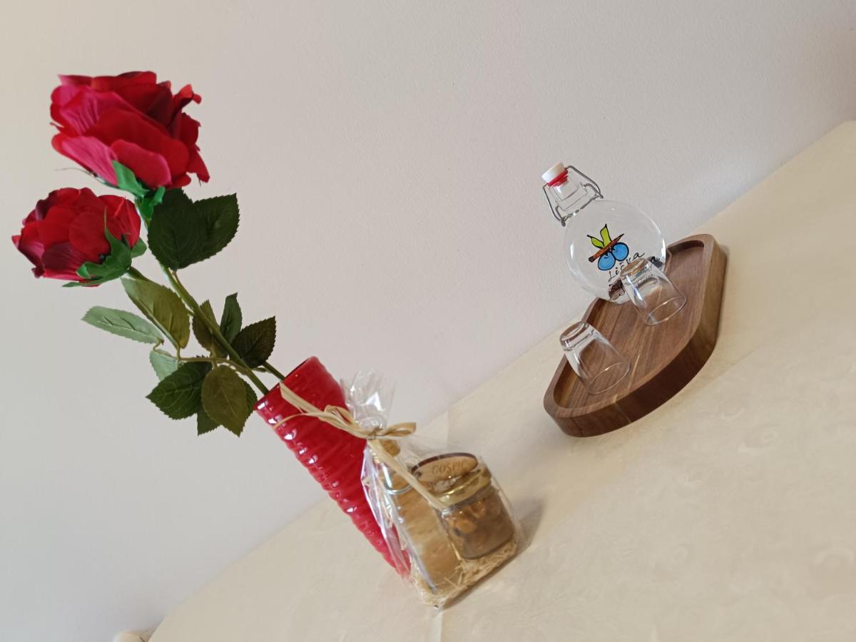 Apartman Ante Gospic Bagian luar foto